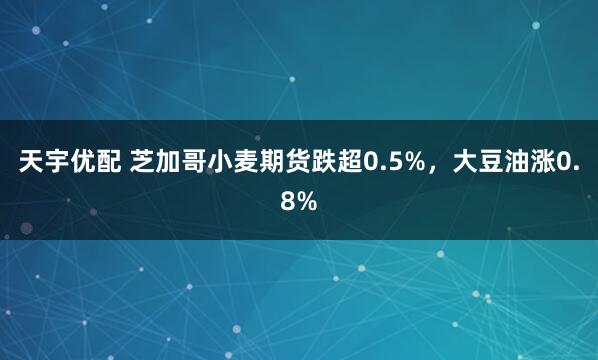 天宇优配 芝加哥小麦期货跌超0.5%，大豆油涨0.8%